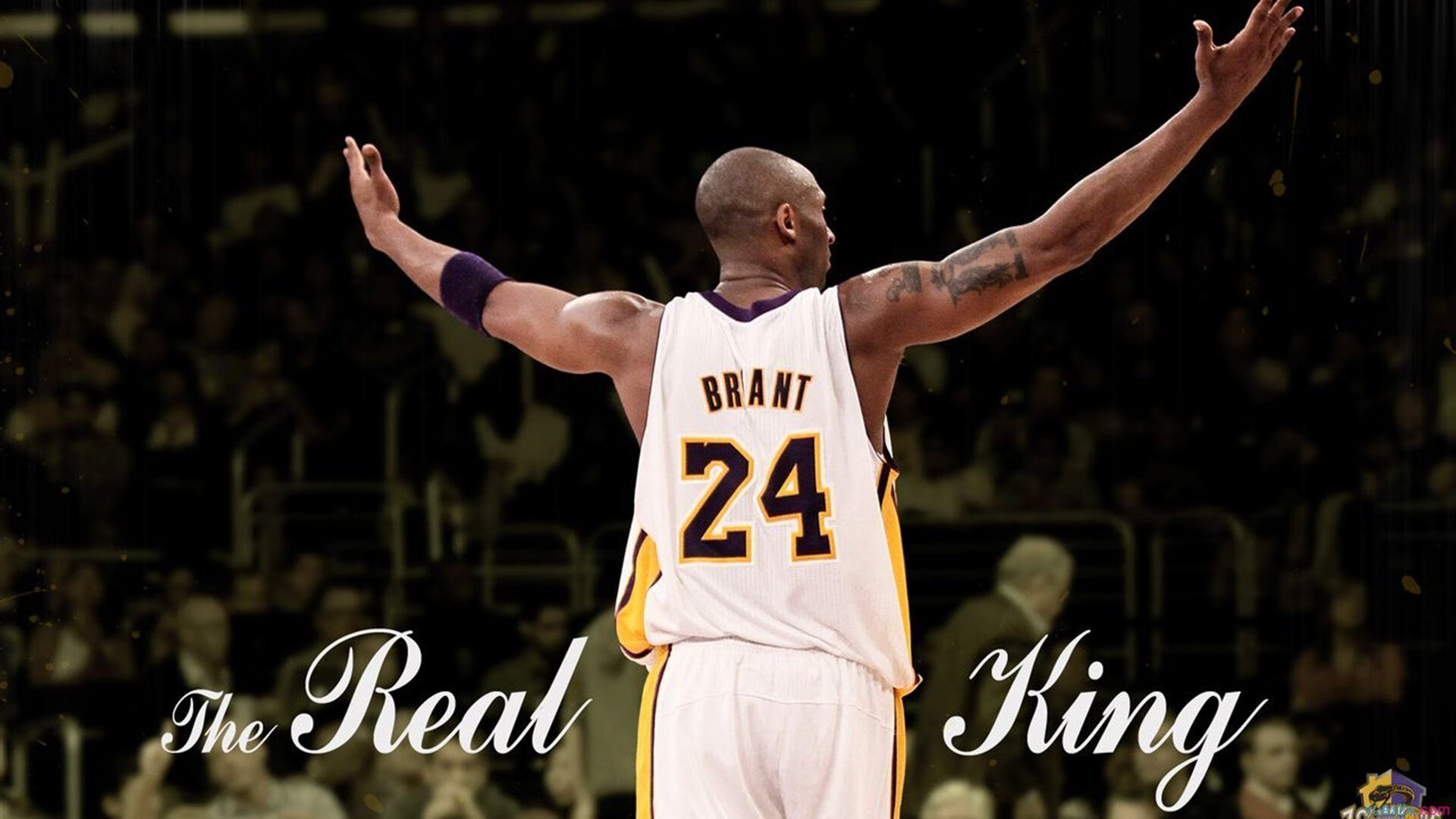 LCK新人训练营启动，lol新手训练营领取的东西在哪